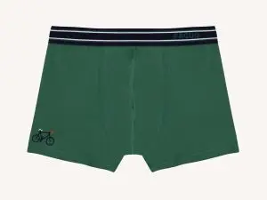 Set van 3 groene en blauwe boxershorts (BOXER)